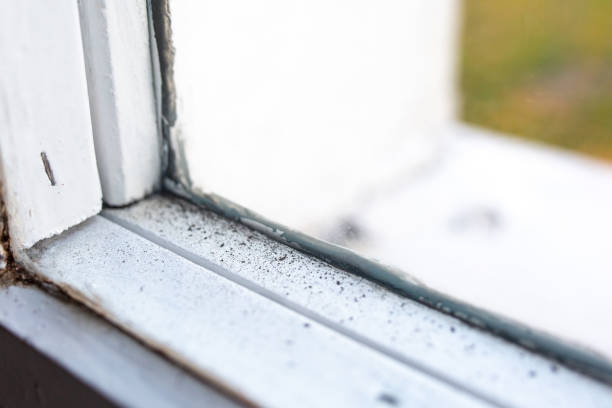 Mold Removal for HVAC Installations in Greenwood, PA